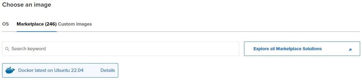 Make sure to choose the Docker image when setting up a Droplet.