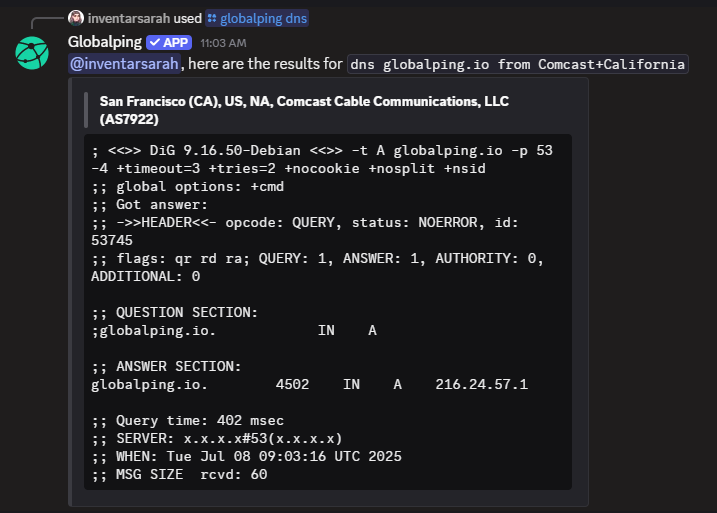 The result of the previously created dns (dig) test.